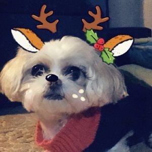 Meet your Posher, Maria